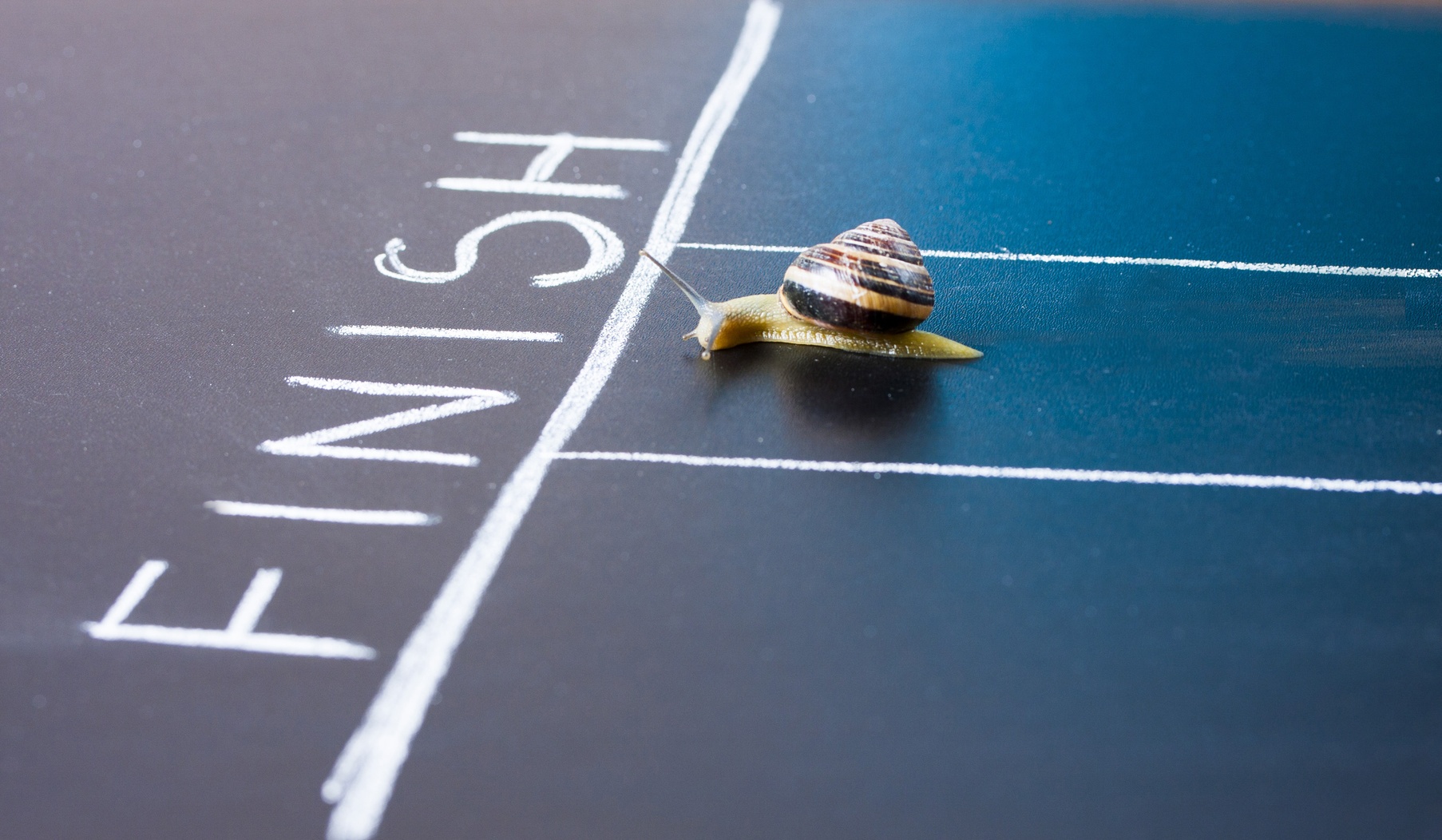 Le Slow Management : une alternative au management actuel ?