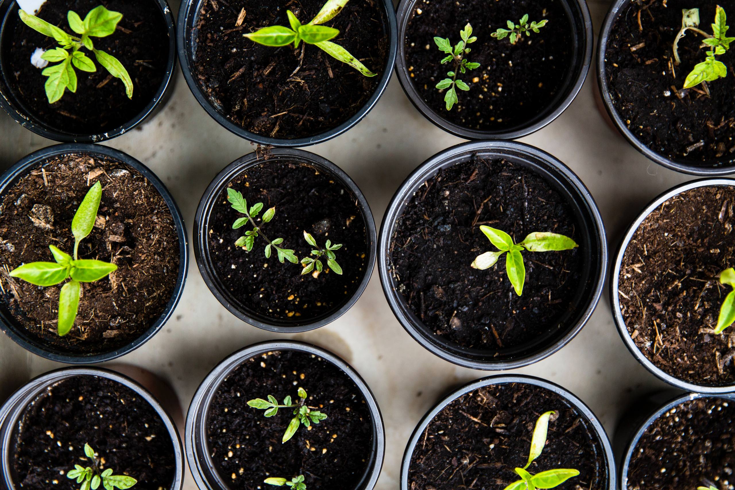 Nouveaux espaces : Wojo s’engage pour l’environnement