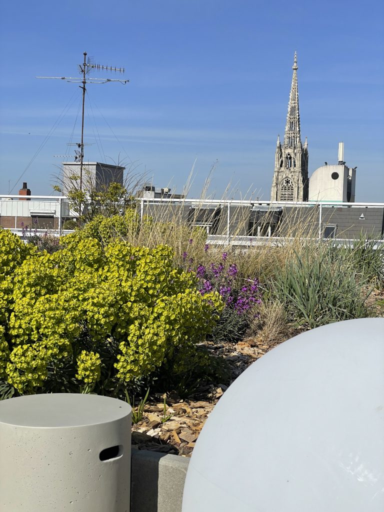 trouver une magnifique terrasse à Lille