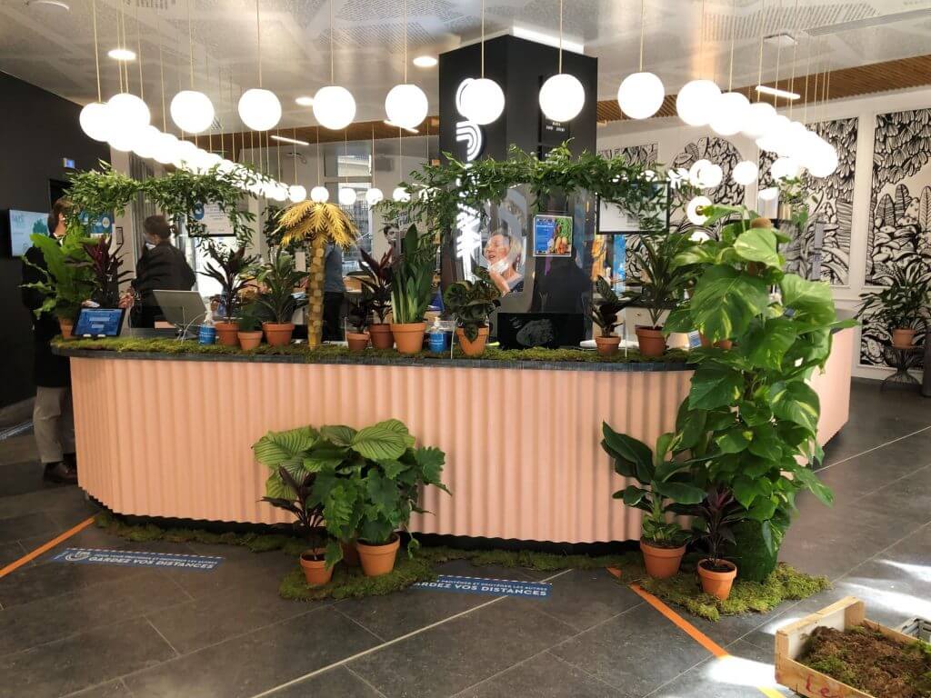 plantes vertes accueil Wojo